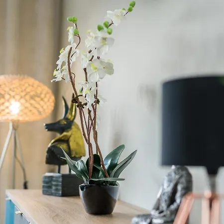 Keplera By Renters * Poznań